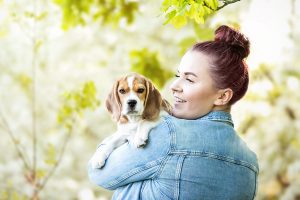 Beagle Welpe, Rudelfotografie, Mensch-Hund-Fotografie - Hundefotografie und Tierfotografie in Potsdam und Berlin- Sophia Zoike Photography