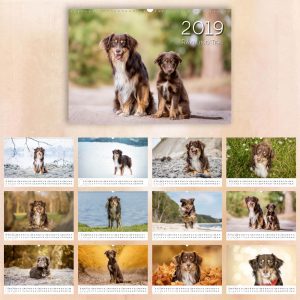 hochwertiger Wandkalender von Sophia Zoike Photography, Hundefotografie in Potsdam, Berlin und Brandenburg, Tierfotografie, Pferdefotografie